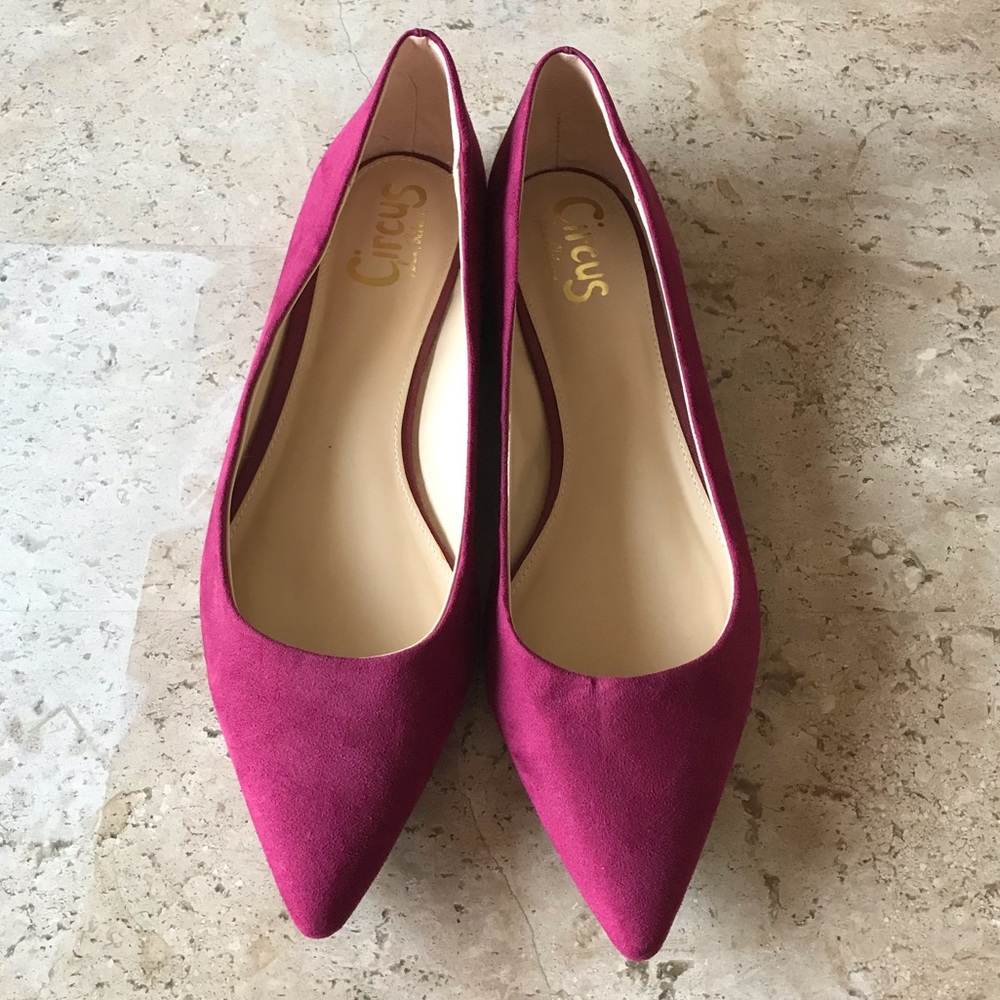 Circus by Sam Edelman pointed flats